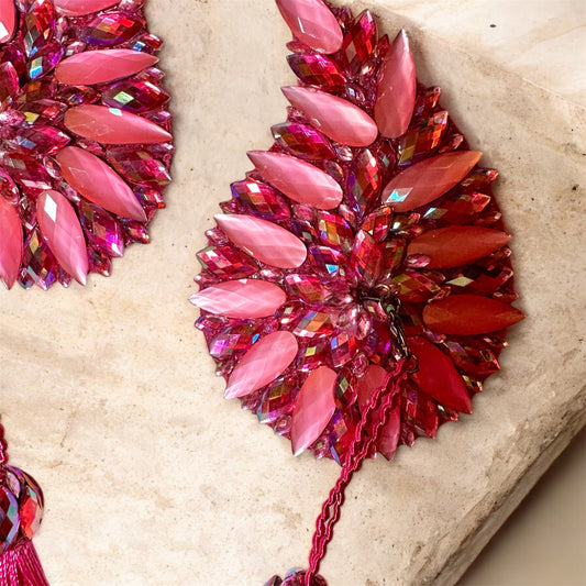 PASTIES PINK - mit abnehmbaren Tassel - Wings in Pink